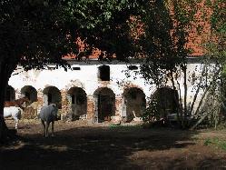 Nab�dka ust�jen� kon�