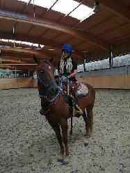 JJ FRECLES LEGACY - Appaloosa - Kon na prodej