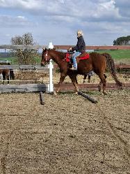 JJ FRECLES LEGACY - Appaloosa - Kon na prodej