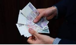 Sluby v jezdeckm sportu