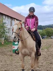 Nabdka jzdy na koni a vcviku