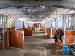 Nabdka jzdy na koni a vcviku