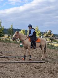 Nabdka jzdy na koni a vcviku