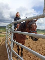 Nabdka jzdy na koni a vcviku