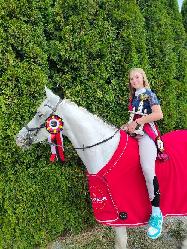 Metsabe - Jin� plemeno pony - Kon� na prodej