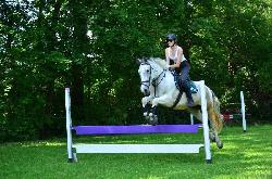 Nab�dka j�zdy na koni a v�cviku